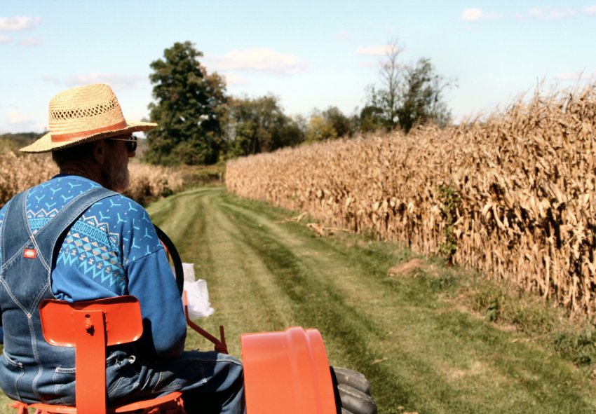 Торгова напруженість з Китаєм, засуха і борги «струшують» фінанси канадських фермерів Торгова напруженість з Китаєм, засуха і борги «струшують» фінанси канадських фермерів