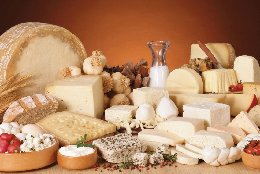 Поволзькі молочники будуть здавати свою найкращу сировину на новий завод Поволзькі молочники будуть здавати свою найкращу сировину на новий завод