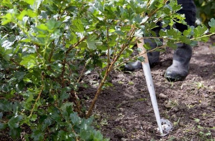 Розпушування грунту Розпушування грунту