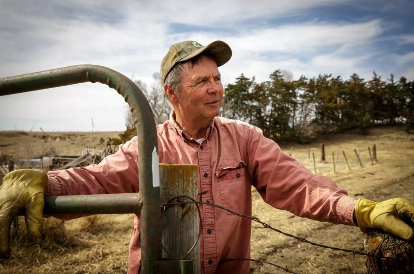 У Великобританії відзначено зростання числа працюючих фермерів, які потребують благодійної допомоги У Великобританії відзначено зростання числа працюючих фермерів, які потребують благодійної допомоги