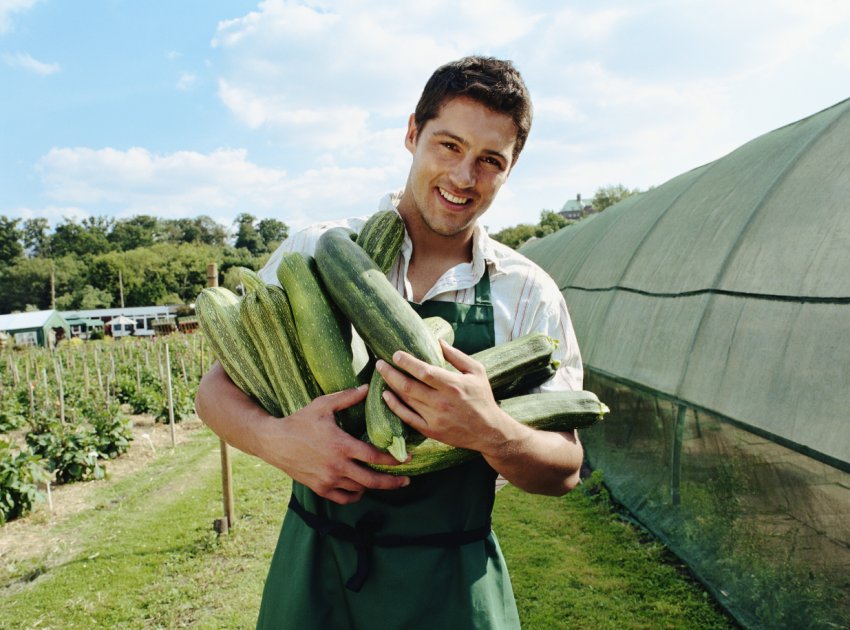 У Великобританії відзначено зростання числа працюючих фермерів, які потребують благодійної допомоги У Великобританії відзначено зростання числа працюючих фермерів, які потребують благодійної допомоги