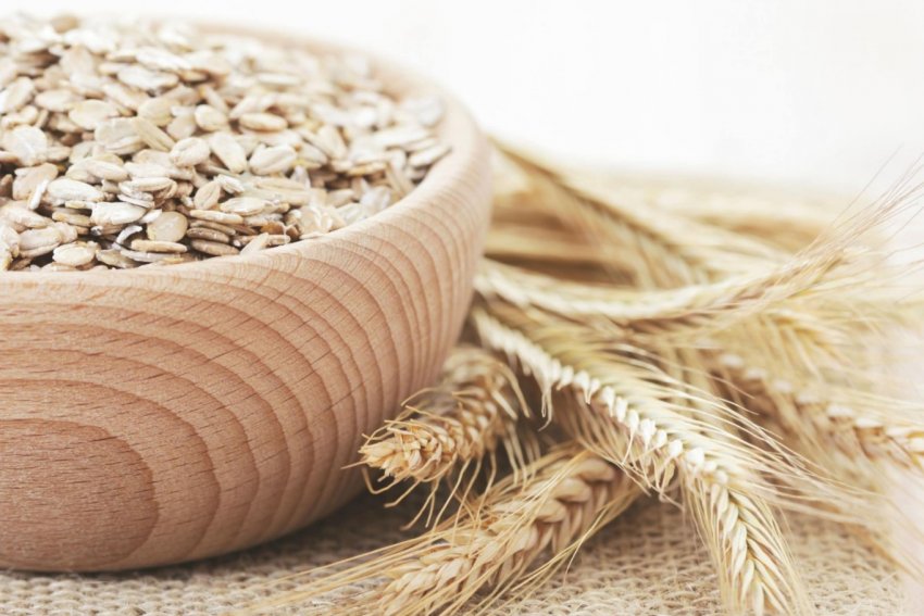 Куліндорівський комбінат хлібопродуктів прийняв на зберігання 7 тисяч тонн зерна нового врожаю Куліндорівський комбінат хлібопродуктів прийняв на зберігання 7 тисяч тонн зерна нового врожаю