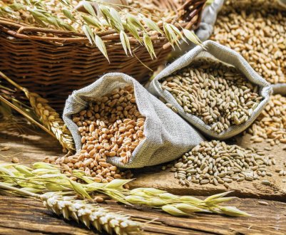 Україна може збільшити експортні поставки зерна в Китай 