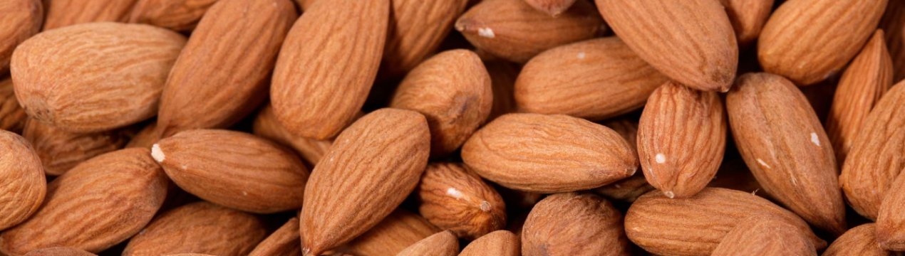 Італійська компанія заклала перший інтенсивний сад мигдалю в Київській області