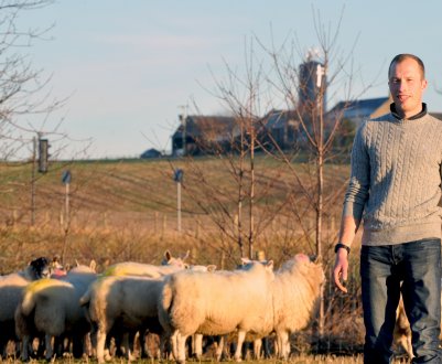 Невизначеність з Brexit «підриває довіру» шотландських фермерів