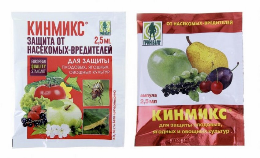 У крыжовника съедены все листья а ягоды висят что делать. Смотреть фото У крыжовника съедены все листья а ягоды висят что делать. Смотреть картинку У крыжовника съедены все листья а ягоды висят что делать. Картинка про У крыжовника съедены все листья а ягоды висят что делать. Фото У крыжовника съедены все листья а ягоды висят что делать