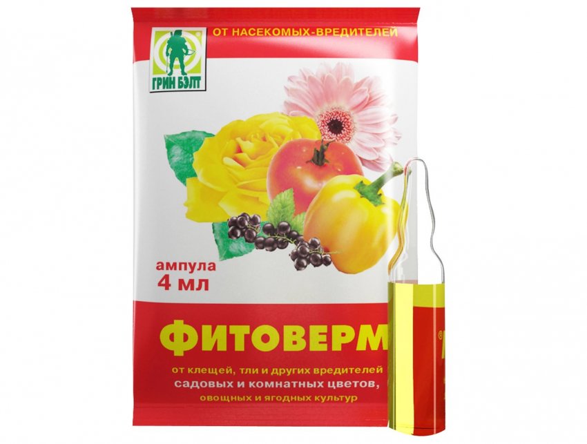 У крыжовника съедены все листья а ягоды висят что делать. Смотреть фото У крыжовника съедены все листья а ягоды висят что делать. Смотреть картинку У крыжовника съедены все листья а ягоды висят что делать. Картинка про У крыжовника съедены все листья а ягоды висят что делать. Фото У крыжовника съедены все листья а ягоды висят что делать