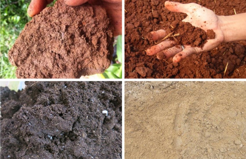 Грунт для аґрусу Грунт для аґрусу