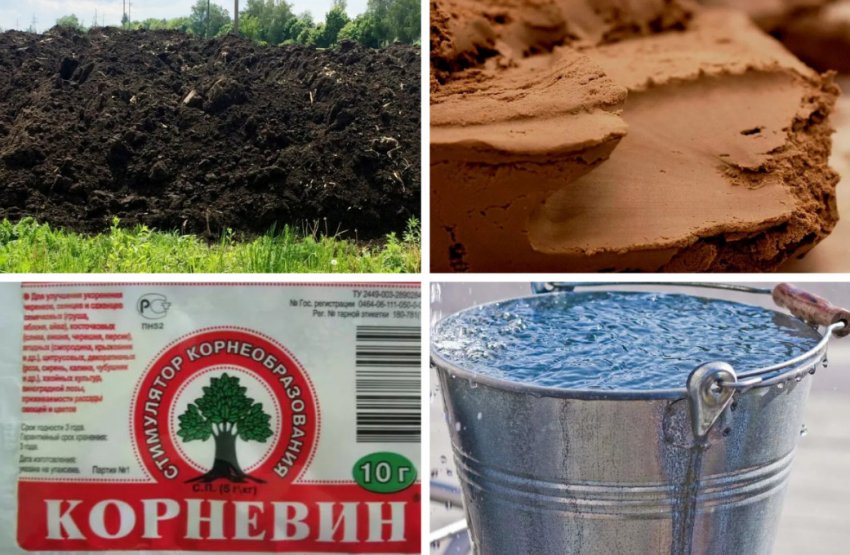 Стимулюючий розчин Стимулюючий розчин