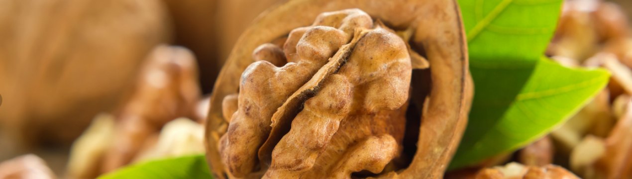 Чернівецький кооператив отримає компенсацію за куплені саджанці волоського горіха