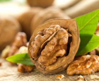 Чернівецький кооператив отримає компенсацію за куплені саджанці волоського горіха