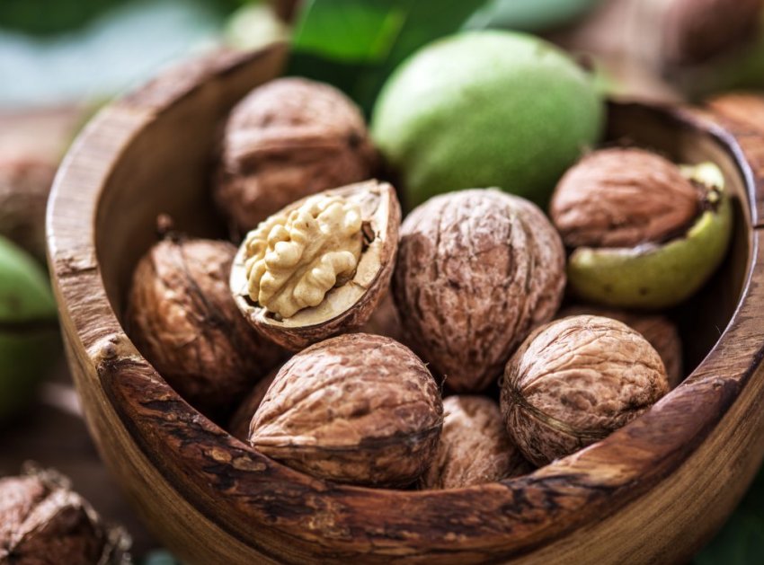 Чернівецький кооператив отримає компенсацію за куплені саджанці волоського горіха Чернівецький кооператив отримає компенсацію за куплені саджанці волоського горіха