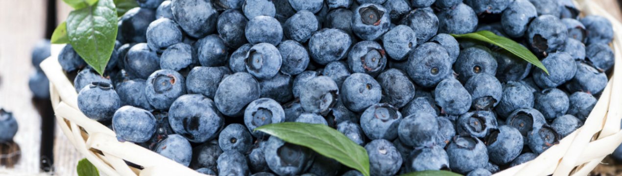 Ціни на лісову чорницю в Україні три роки поспіль залишаються на одному рівні