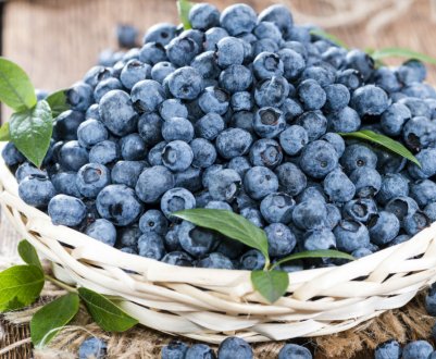 Ціни на лісову чорницю в Україні три роки поспіль залишаються на одному рівні