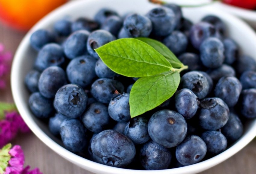 Ціни на лісову чорницю в Україні три роки поспіль залишаються на одному рівні