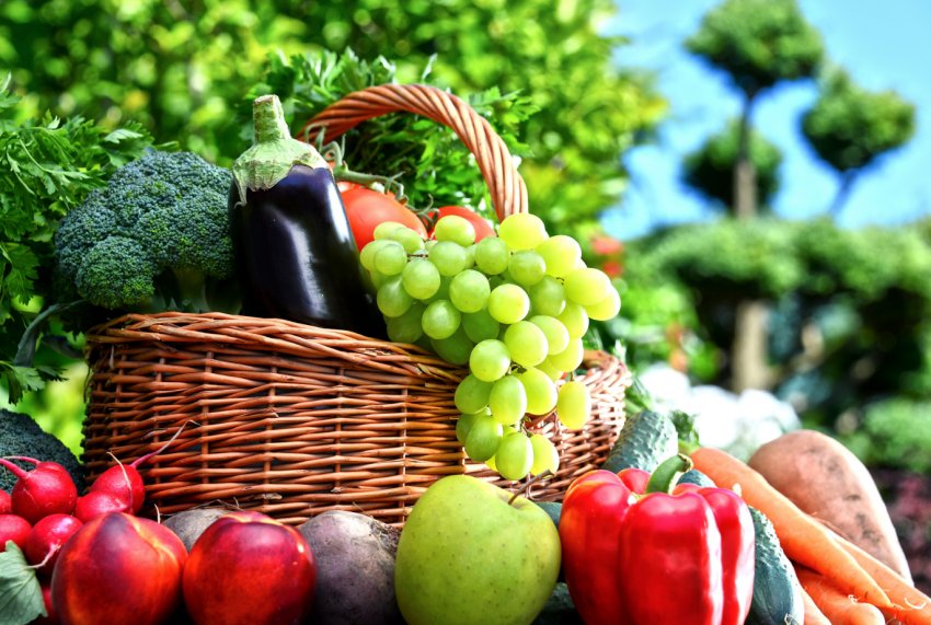 В Росії не дорожчають капуста і помідори — спасибі щедрого врожаю та імпорту В Росії не дорожчають капуста і помідори — спасибі щедрого врожаю та імпорту