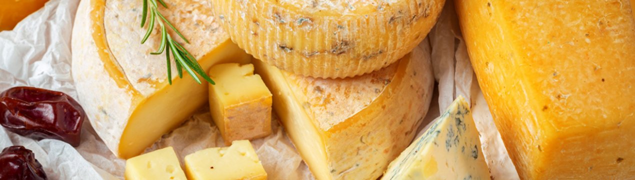 Українські студенти організували кооператив по виробництву сиру