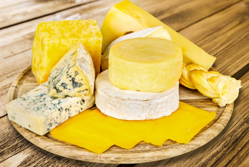 Українські студенти організували кооператив по виробництву сиру Українські студенти організували кооператив по виробництву сиру