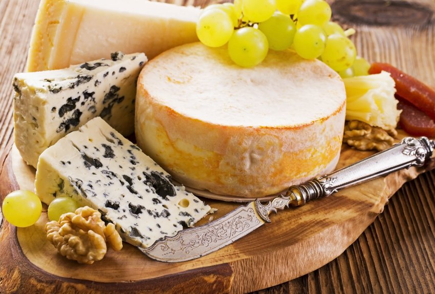 Українські студенти організували кооператив по виробництву сиру Українські студенти організували кооператив по виробництву сиру