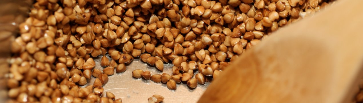 Урожай гречки в Україні може скоротитися до історичного мінімуму