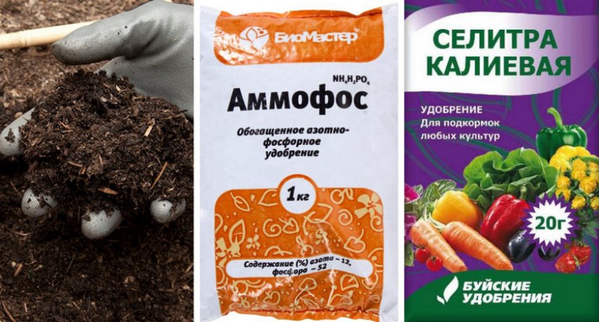 Добрива навесні