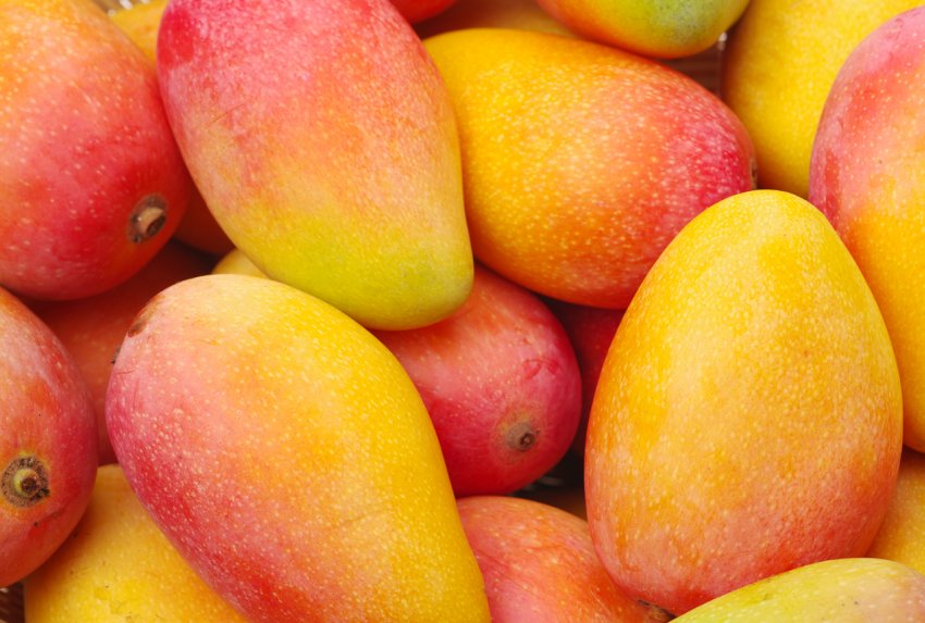 В'єтнамський «диверсант» ледь не заразив російські городи небезпечним шкідником В'єтнамський «диверсант» ледь не заразив російські городи небезпечним шкідником