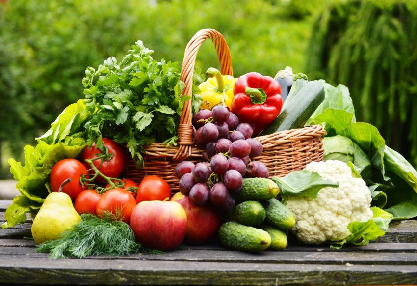 Російські лікарі розповіли, які фермерські продукти можна виключити з раціону, а які не можна Російські лікарі розповіли, які фермерські продукти можна виключити з раціону, а які не можна