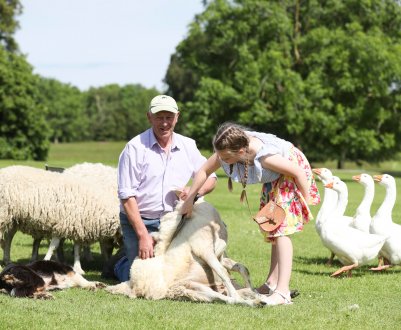 В Ірландії літній шоу Fingal об'єднує сільське господарство та «незабутні враження»