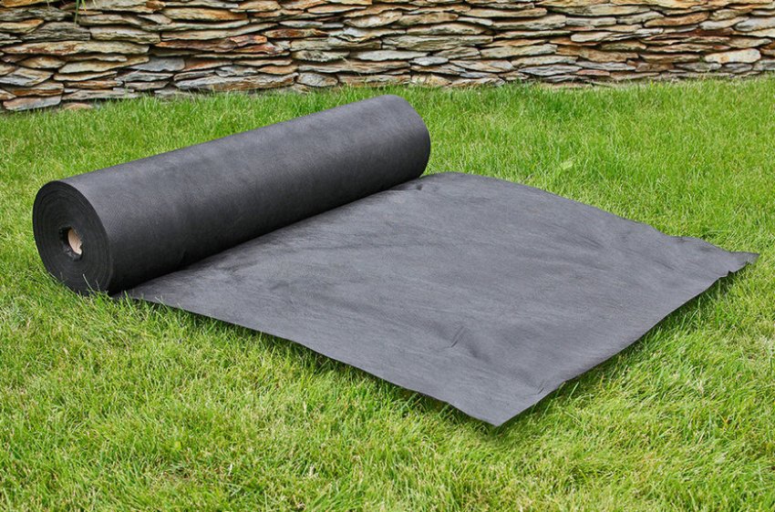 Агроволокно для укриття агрусу на зиму