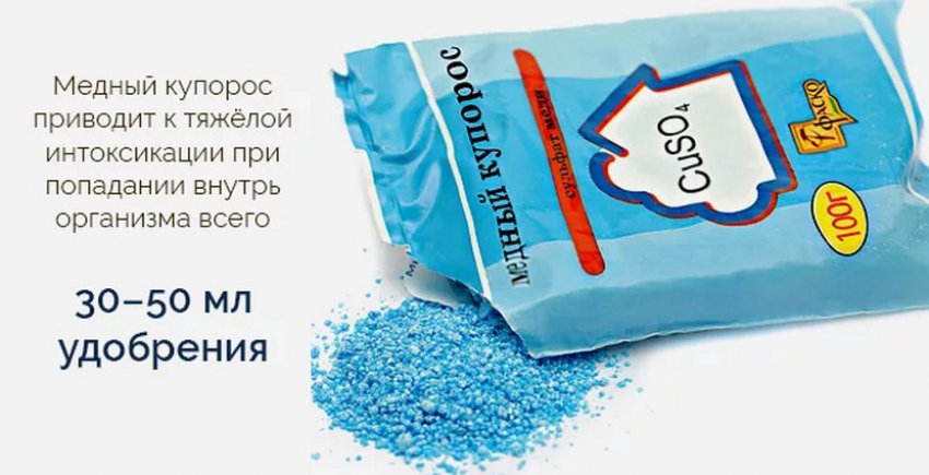 Медный купорос для смородины и крыжовника. 93131.ptgby0.850. Медный купорос для смородины и крыжовника фото. Медный купорос для смородины и крыжовника-93131.ptgby0.850. картинка Медный купорос для смородины и крыжовника. картинка 93131.ptgby0.850. Владельцам огородов и приусадебных участков периодически приходится сталкиваться со снижением иммунитета, выращиваемых культур. Подвержены различным заболеваниям и нашествию вредителей и кустарники смородины. Наиболее часто становятся головной болью садоводов – патогенные грибки. Для сохранения высокого уровня плодоношения и поддержания развития и роста проводится химическая обработка. Одно из самых известных и востребованный средств – медный купорос.