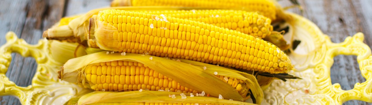 Шторму в Аргентині можуть затримати посадки пшениці, але розширити посівні площі