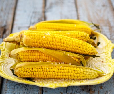 Шторму в Аргентині можуть затримати посадки пшениці, але розширити посівні площі 