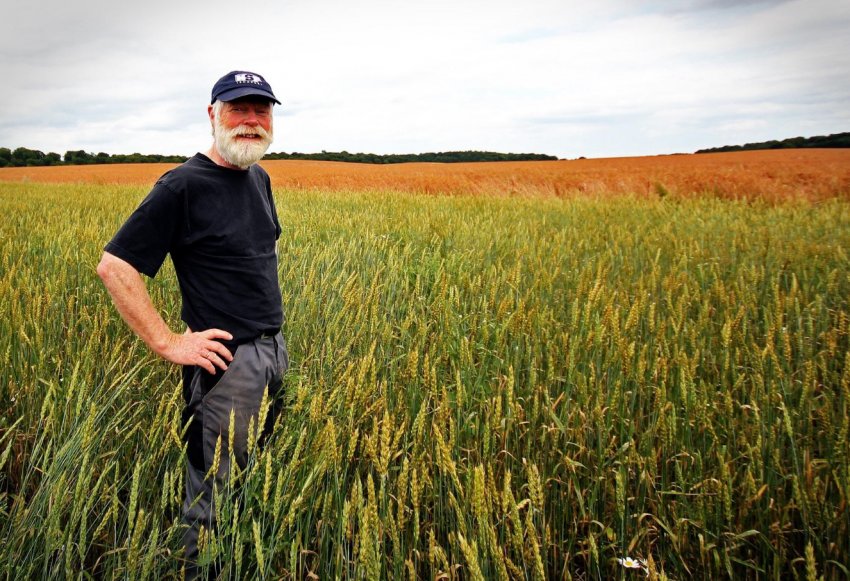 Торгова напруженість з Китаєм, засуха і борги «струшують» фінанси канадських фермерів Торгова напруженість з Китаєм, засуха і борги «струшують» фінанси канадських фермерів