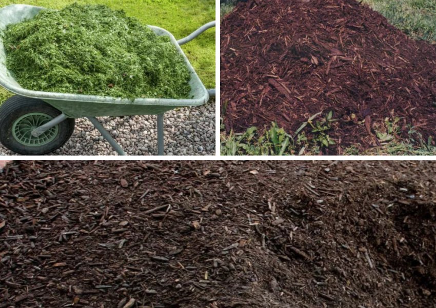 Мульча з скошеної трави, торфу, компосту