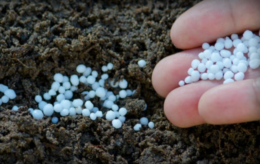 Азотні Азотні