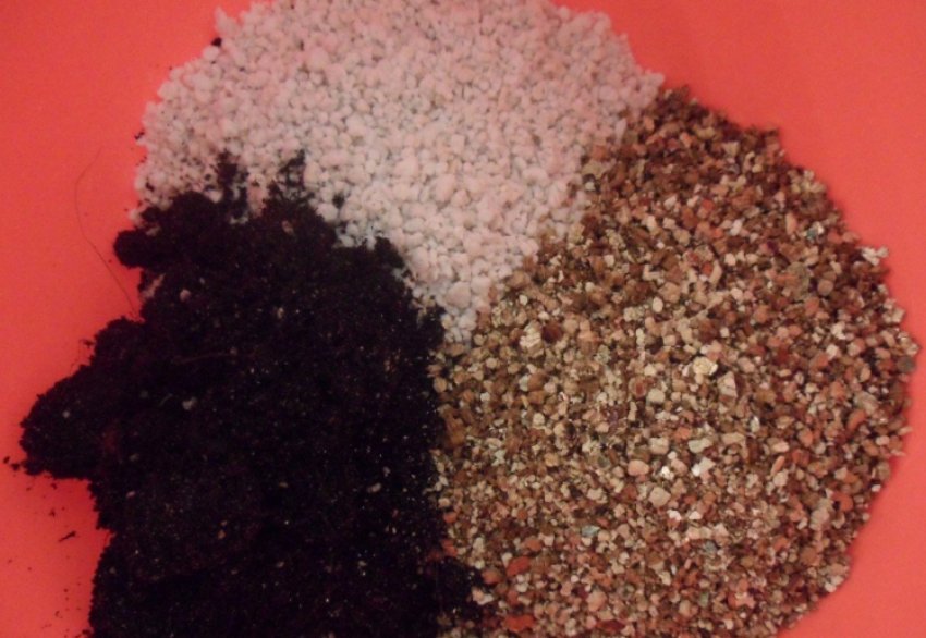 Комплексні Комплексні