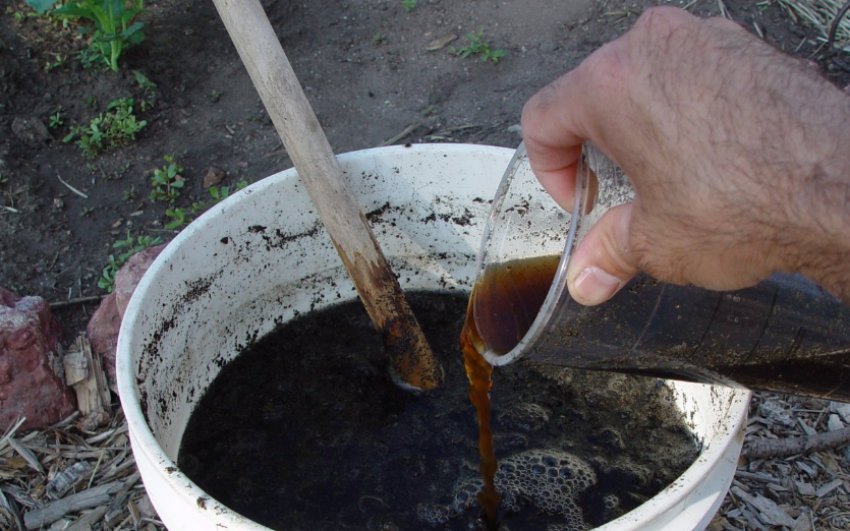 Біодобрива Біодобрива