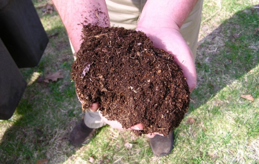 Органічні Органічні