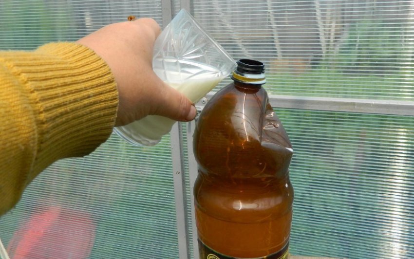 Розчин з сироватки Розчин з сироватки