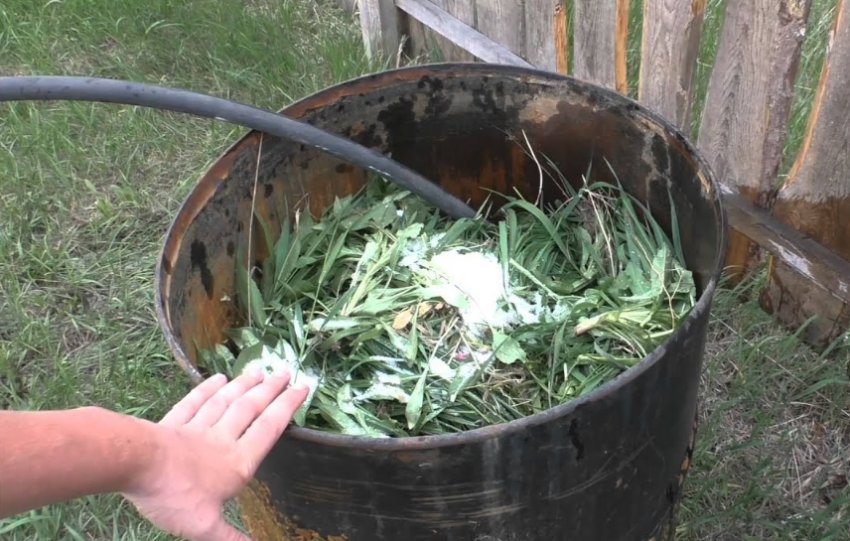 Підживлення з скошеної трави Підживлення з скошеної трави