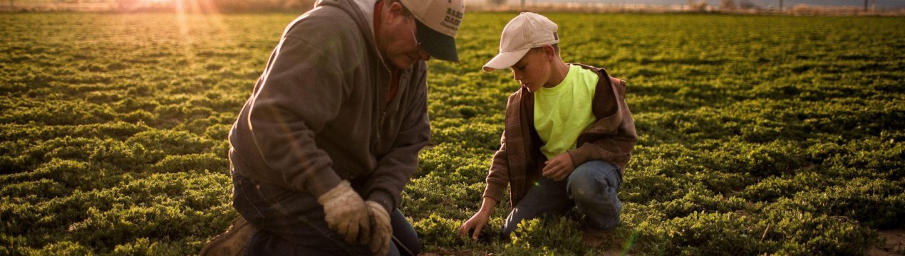 Сімейні ферми Курганської області отримають 60 мільйонів рублів