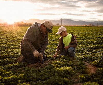 Сімейні ферми Курганської області отримають 60 мільйонів рублів