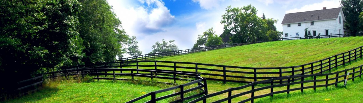 Держава заохочує селян підвищувати обсяги сільськогосподарського виробництва