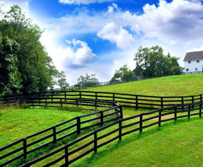 Держава заохочує селян підвищувати обсяги сільськогосподарського виробництва