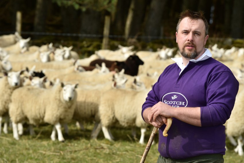 Невизначеність з Brexit «підриває довіру» шотландських фермерів Невизначеність з Brexit «підриває довіру» шотландських фермерів