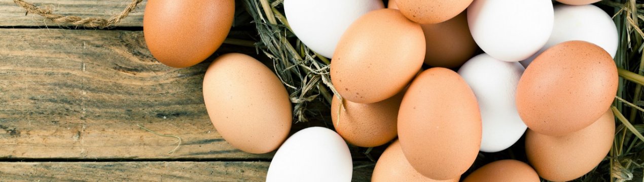 Птахівництво Уельсу: обнадійливі перспективи