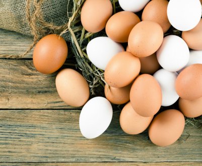 Птахівництво Уельсу: обнадійливі перспективи