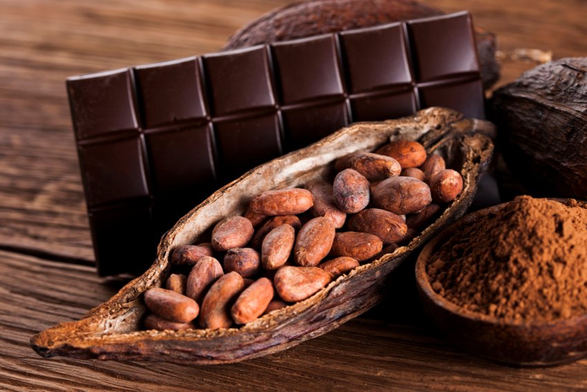 В Кот-д Івуар очікують рекордний урожай какао В Кот-д Івуар очікують рекордний урожай какао