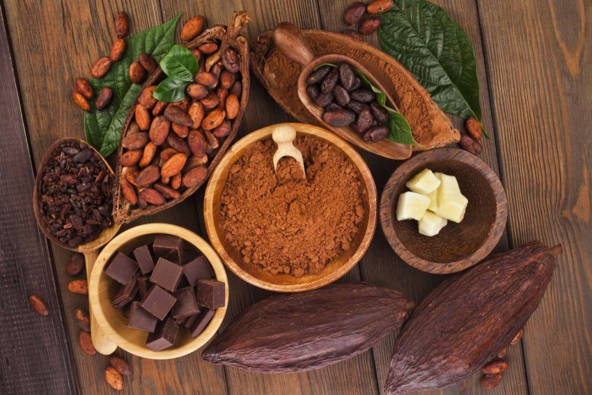 В Кот-д Івуар очікують рекордний урожай какао В Кот-д Івуар очікують рекордний урожай какао