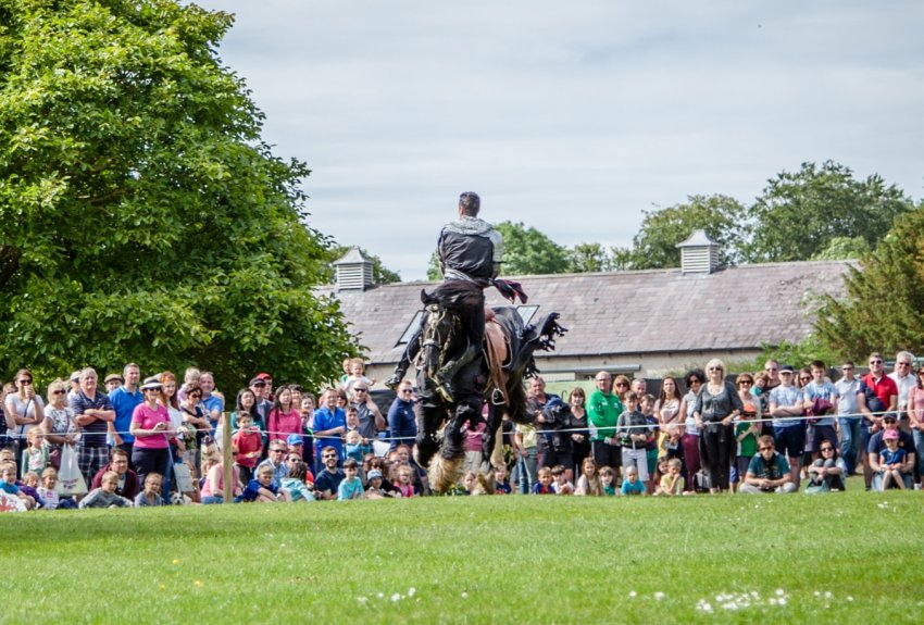 В Ірландії літній шоу Fingal об'єднує сільське господарство та «незабутні враження»